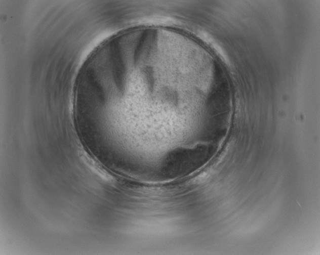 X0000088651232200706081629