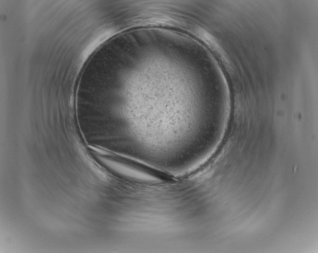 X0000088651234200706081629