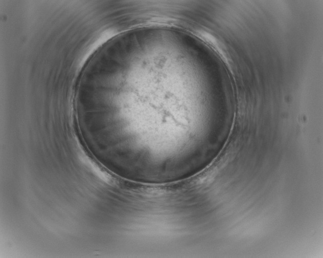 X0000088651235200706081629