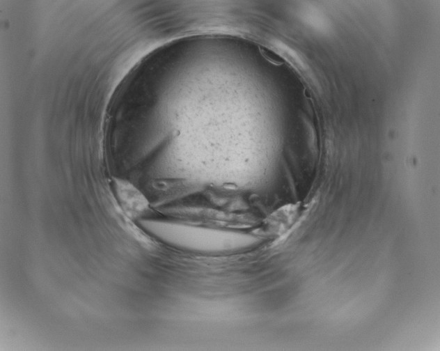 X0000088651236200706081629