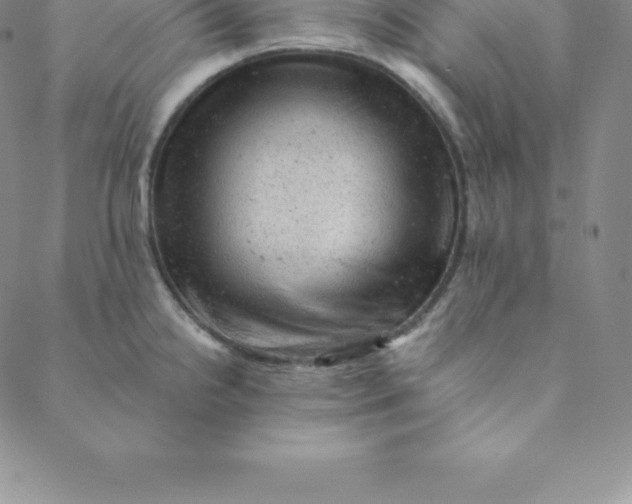 X0000088651238200706081629