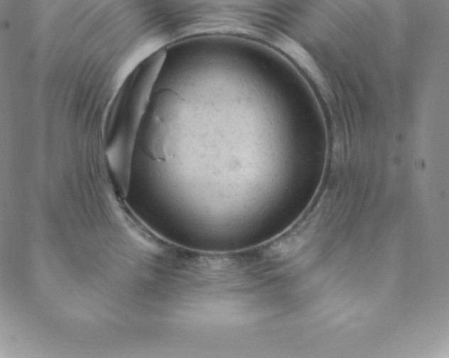 X0000088651242200706081629