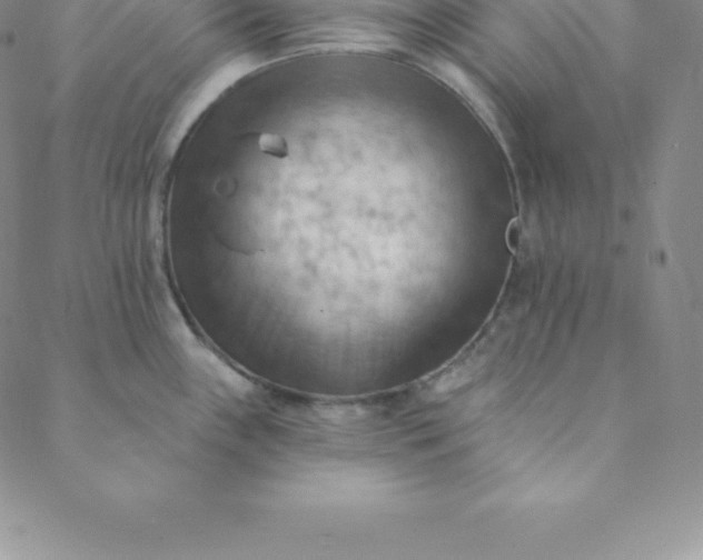 X0000088651243200706081629