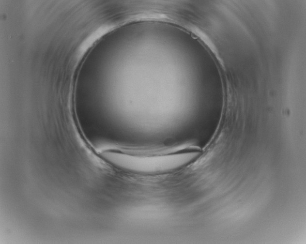 X0000088651245200706081630