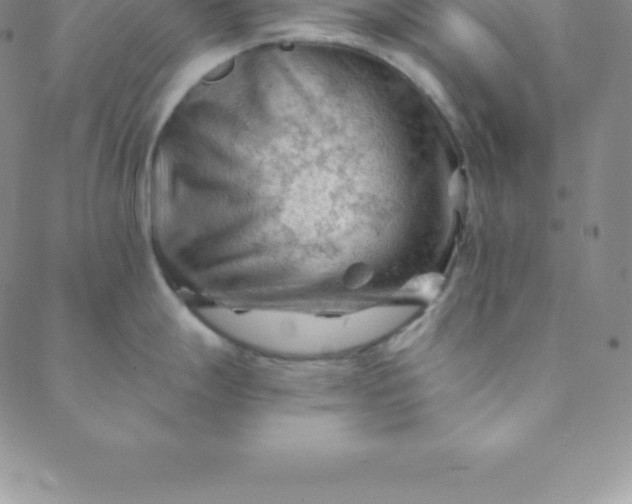 X0000088651247200706081630