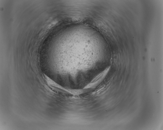 X0000088651249200706081629