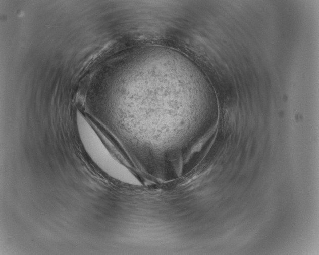 X0000088651250200706081629