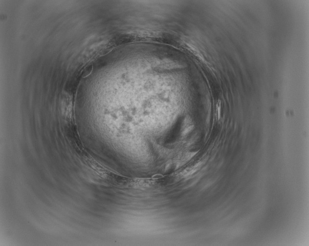 X0000088651251200706081629