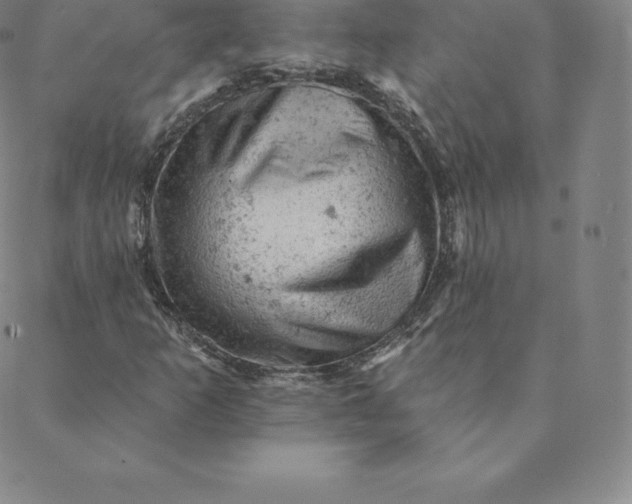 X0000088651253200706081629