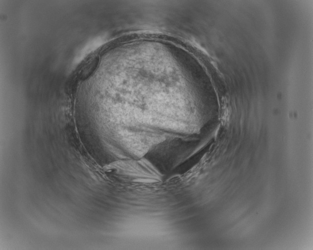 X0000088651255200706081629