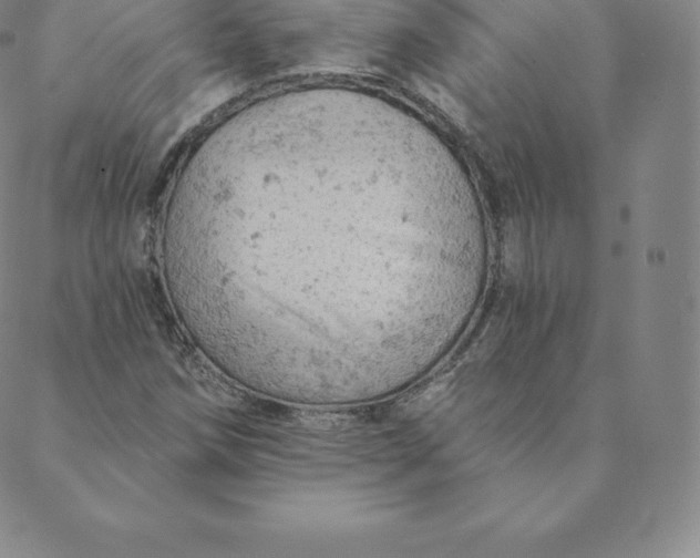 X0000088651258200706081629