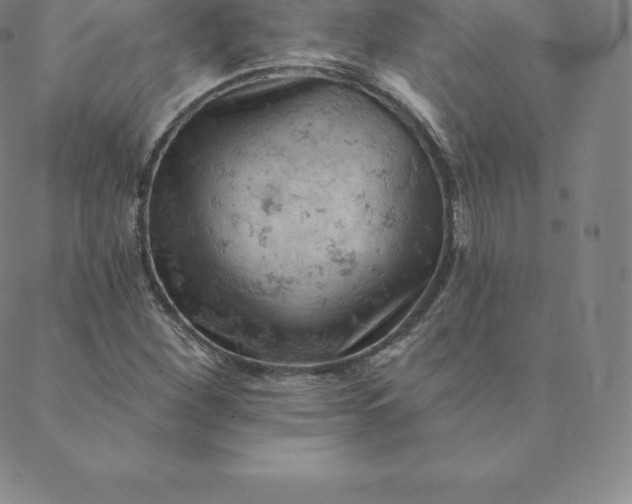 X0000088651260200706081629