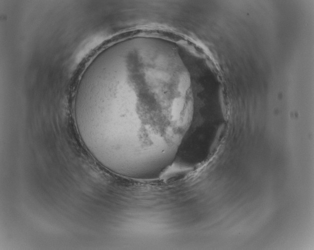 X0000088651263200706081629