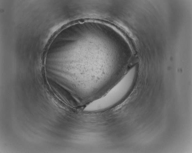 X0000088651264200706081629