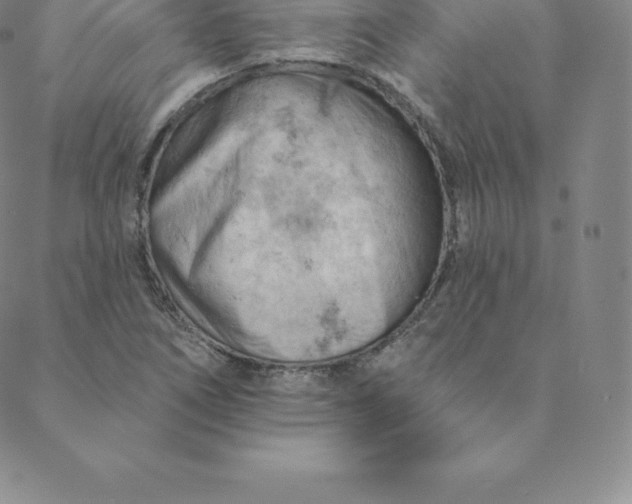 X0000088651266200706081628