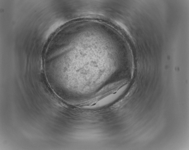 X0000088651267200706081628