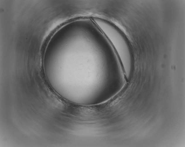 X0000088651270200706081628