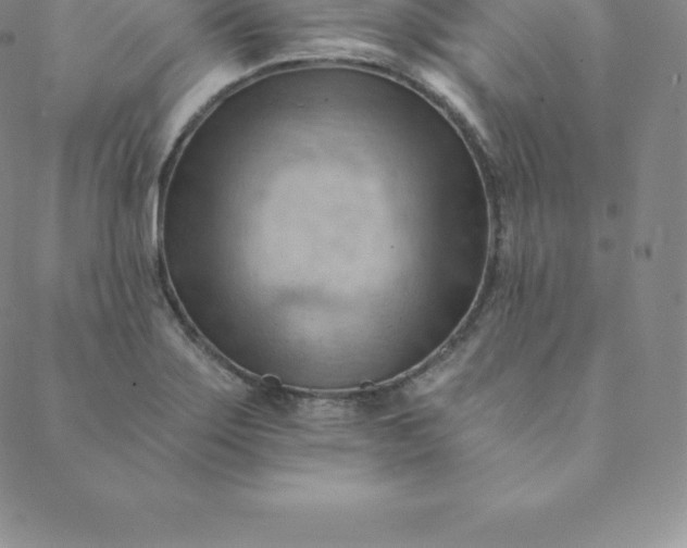 X0000088651275200706081628