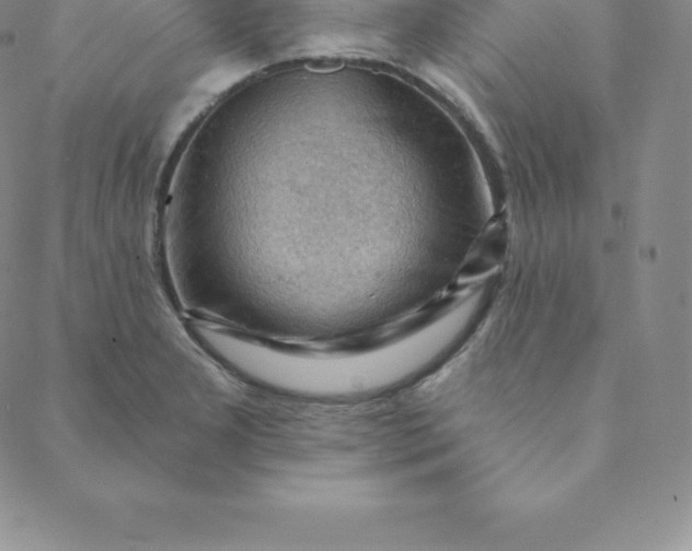 X0000088651277200706081628