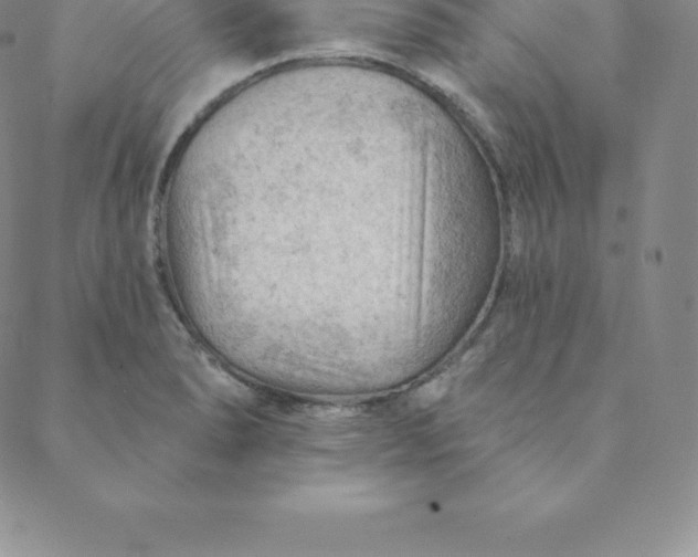 X0000088651278200706081628