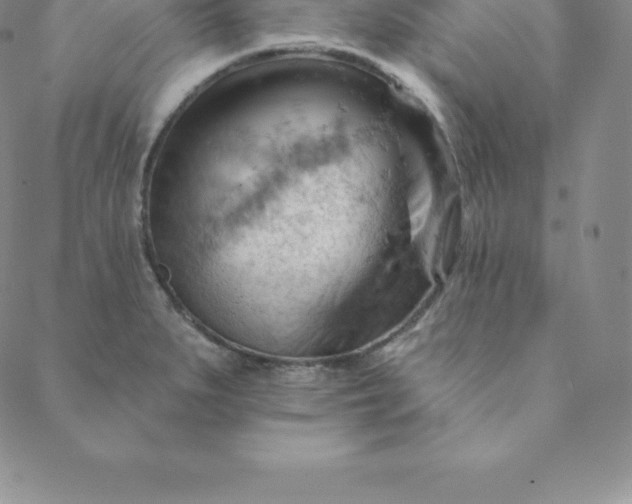 X0000088651279200706081628