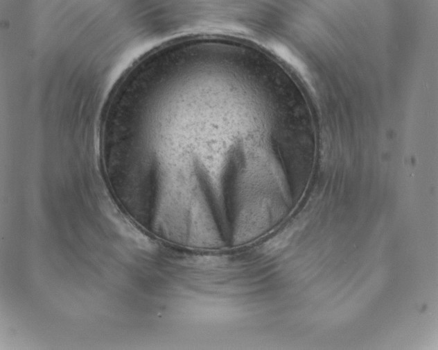 X0000088651280200706081628