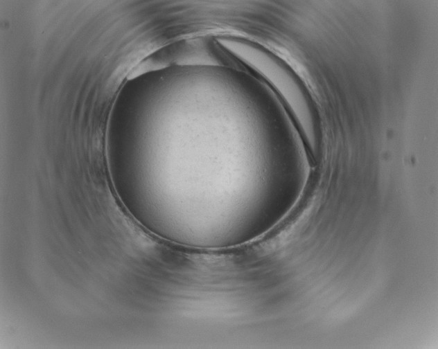 X0000088651281200706081628