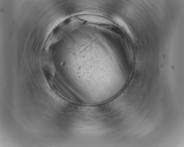 X0000088651284200706081628