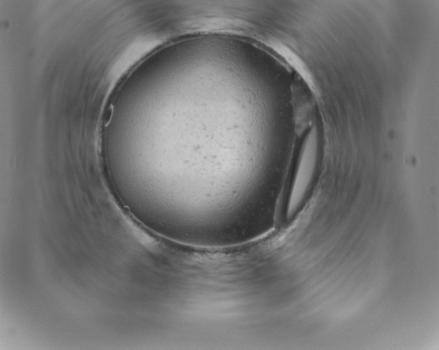 X0000088651285200706081628