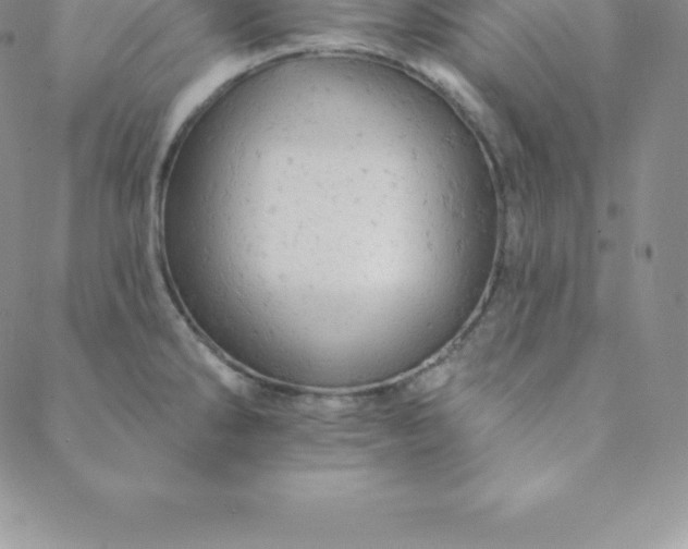 X0000088651286200706081628