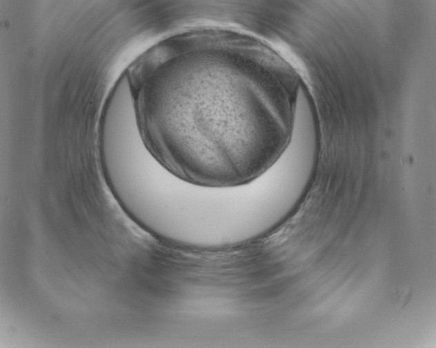 X0000088651287200706081628