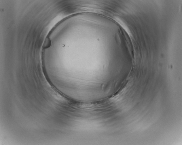 X0000088651291200706081628