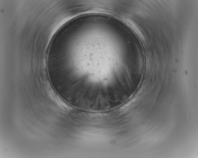 X0000088651292200706081628