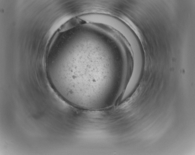 X0000088651293200706081628