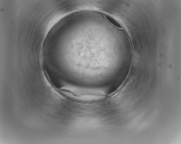 X0000088651295200706081628