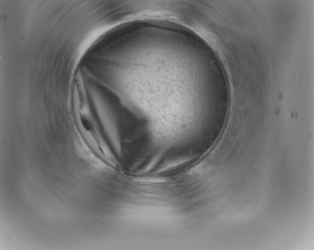 X0000088651296200706081628