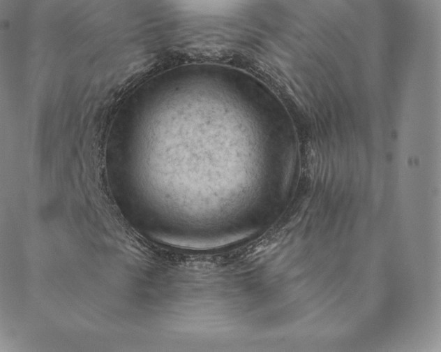 X0000088651297200706081627