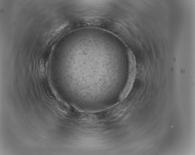 X0000088651298200706081627