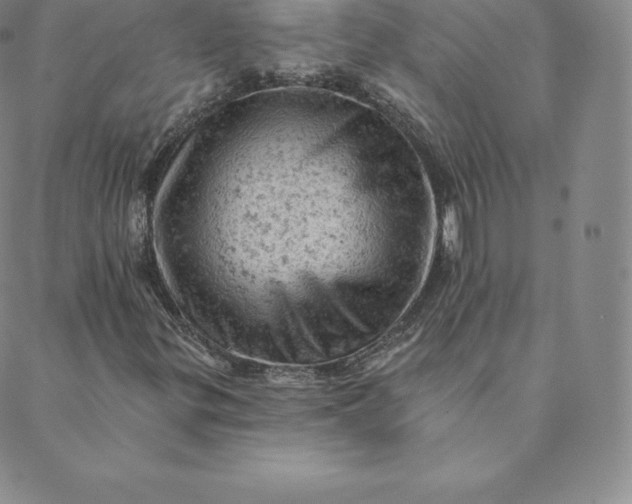 X0000088651299200706081627