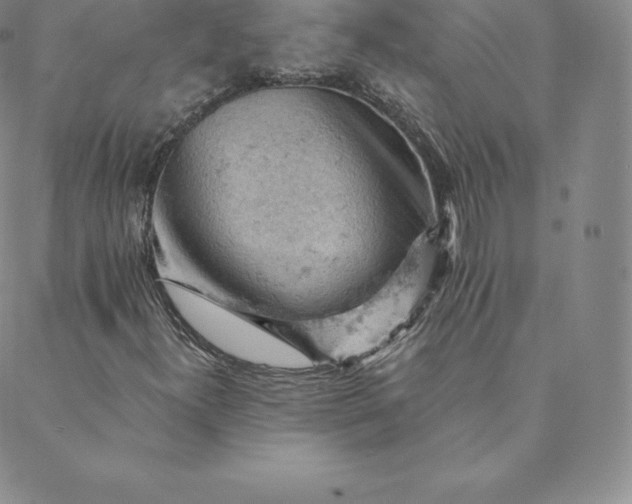 X0000088651300200706081627