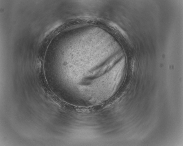 X0000088651302200706081627