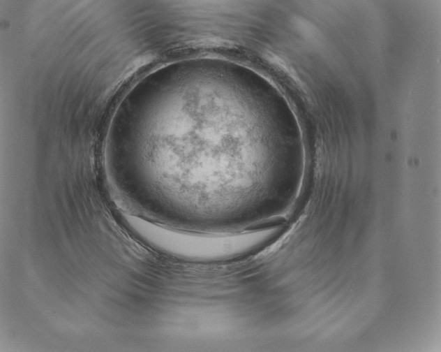 X0000088651305200706081627