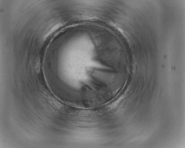 X0000088651306200706081627