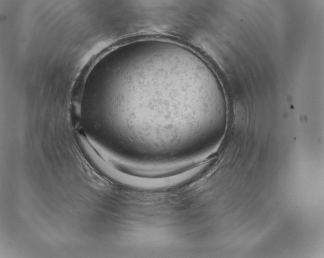 X0000088651308200706081627