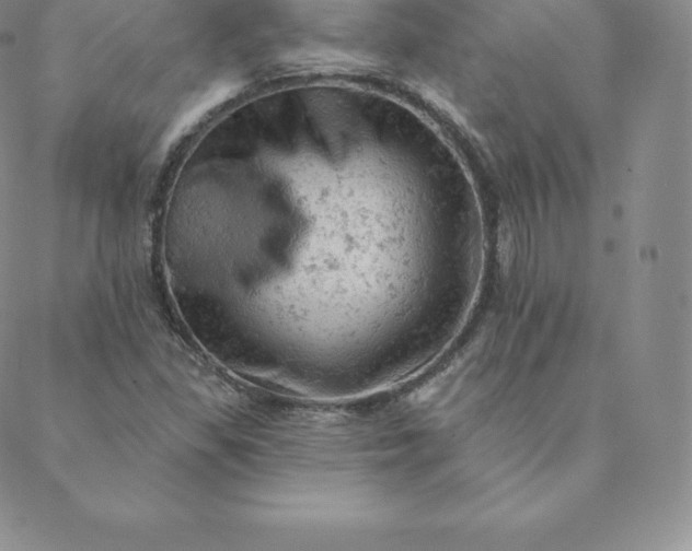 X0000088651309200706081627