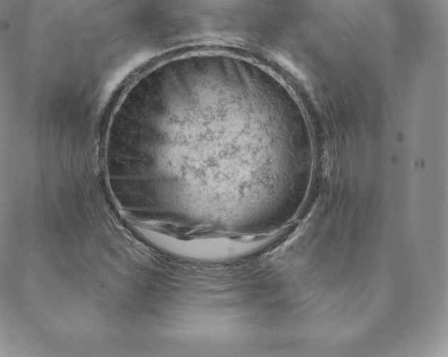 X0000088651310200706081627