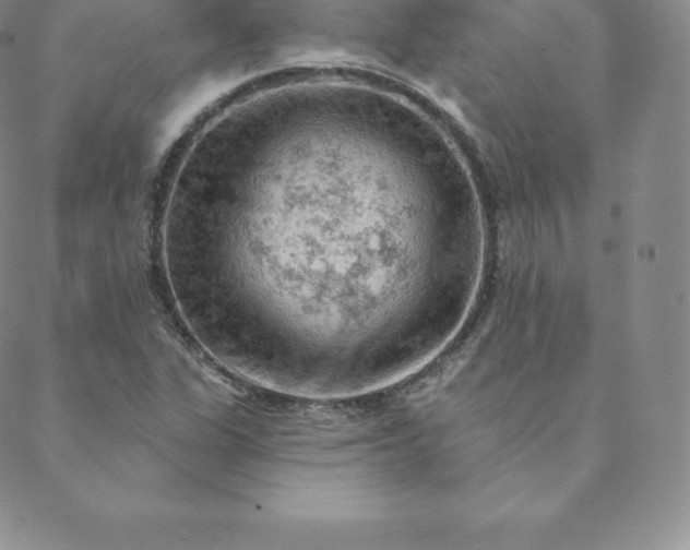 X0000088651311200706081627