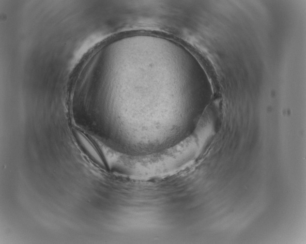 X0000088651312200706081627