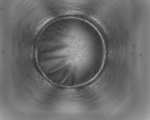 X0000088651313200706081627