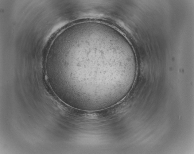 X0000088651315200706081628